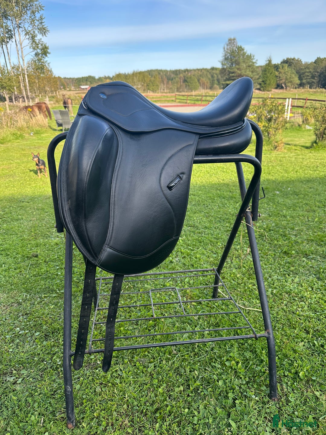 Sadlar hästutrustning till salu: Ikonic light 17,5  i Kristinehamn - Annons 1