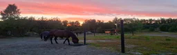  stallplats finnes: Stallplatser & lösdrift i Iggesund / Hudiksvall i Iggesund - Annons 7