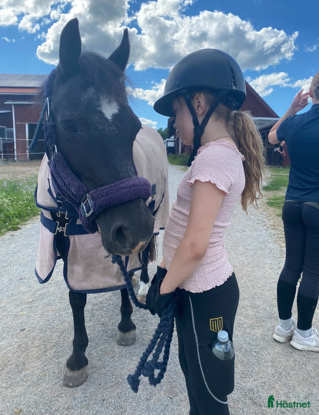  medryttarhäst sökes: Medryttarhäst sökes ca 1 gång/vecka i Bromma - Annons 1