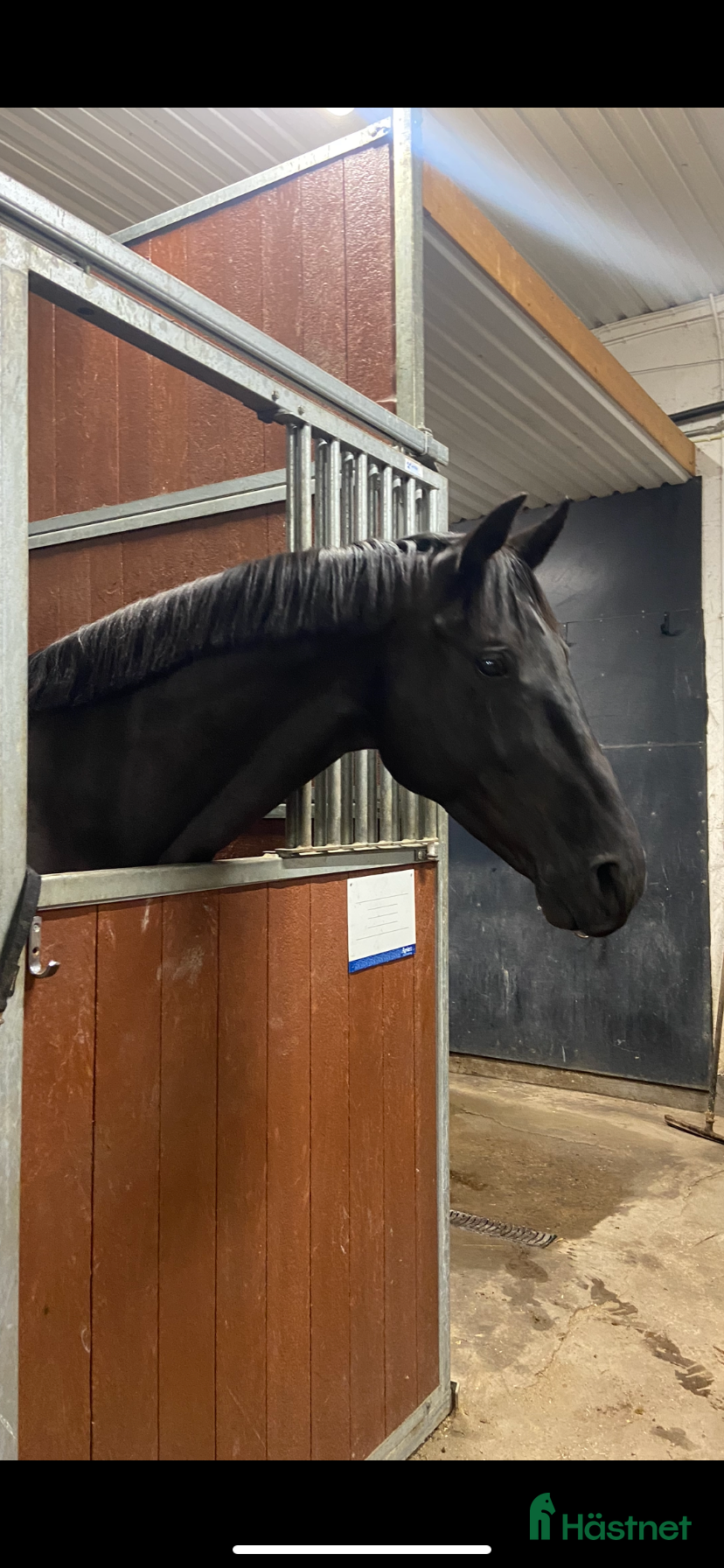  stallplats Stalldel 5 platser i Västerås - Annons 20