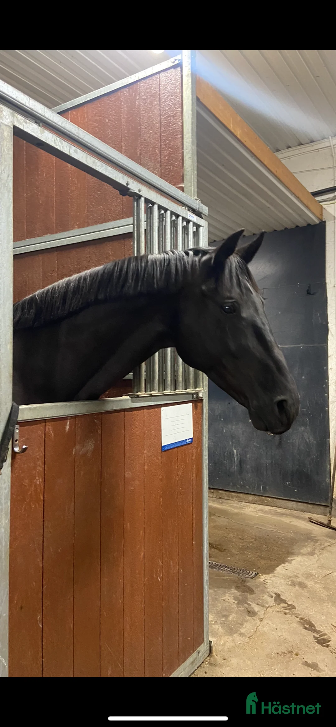  stallplats finnes: Stalldel 5 platser i Västerås - Annons 1