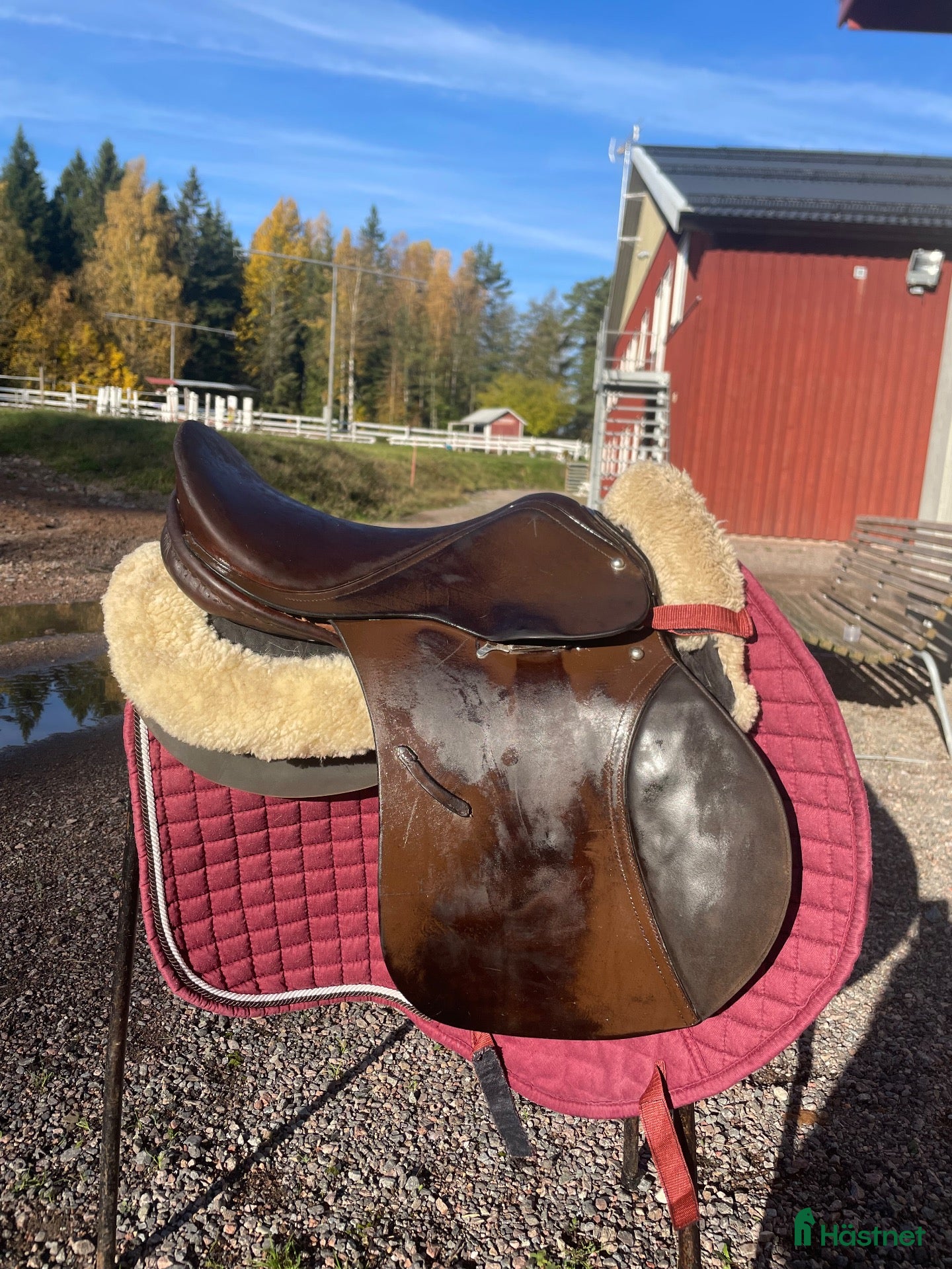 Sadlar hästutrustning Begagnad allround/hoppsadel - Annons 7