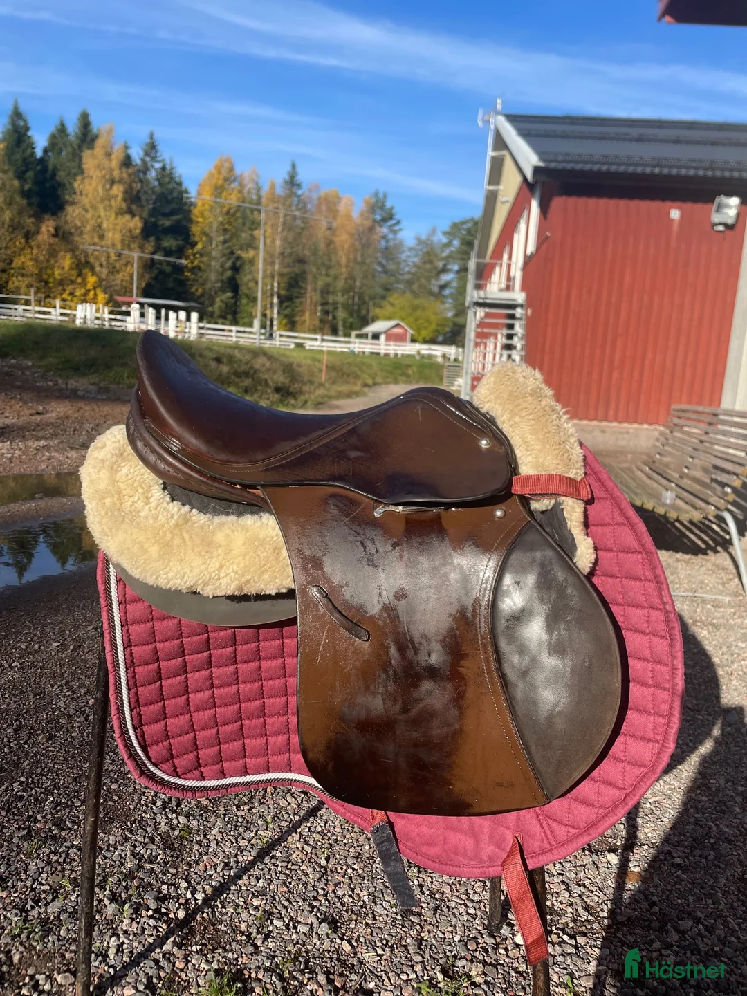 Sadlar hästutrustning till salu: Begagnad allround/hoppsadel - Annons 1