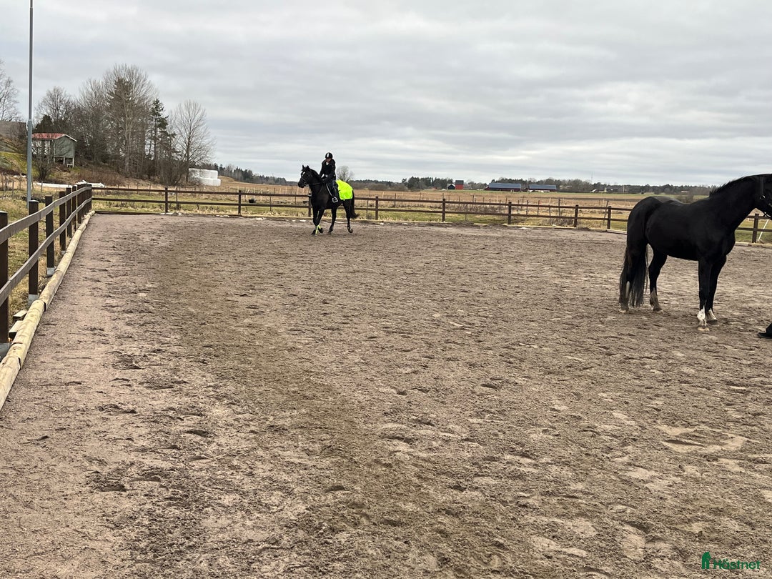  stallplats finnes: Stallplatser  Vallentuna /Märsta i Märsta - Annons 5