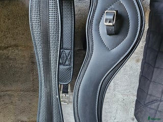 Sadeltillbehör hästutrustning till salu: Sadelgjordar i Halmstad - Annons 6