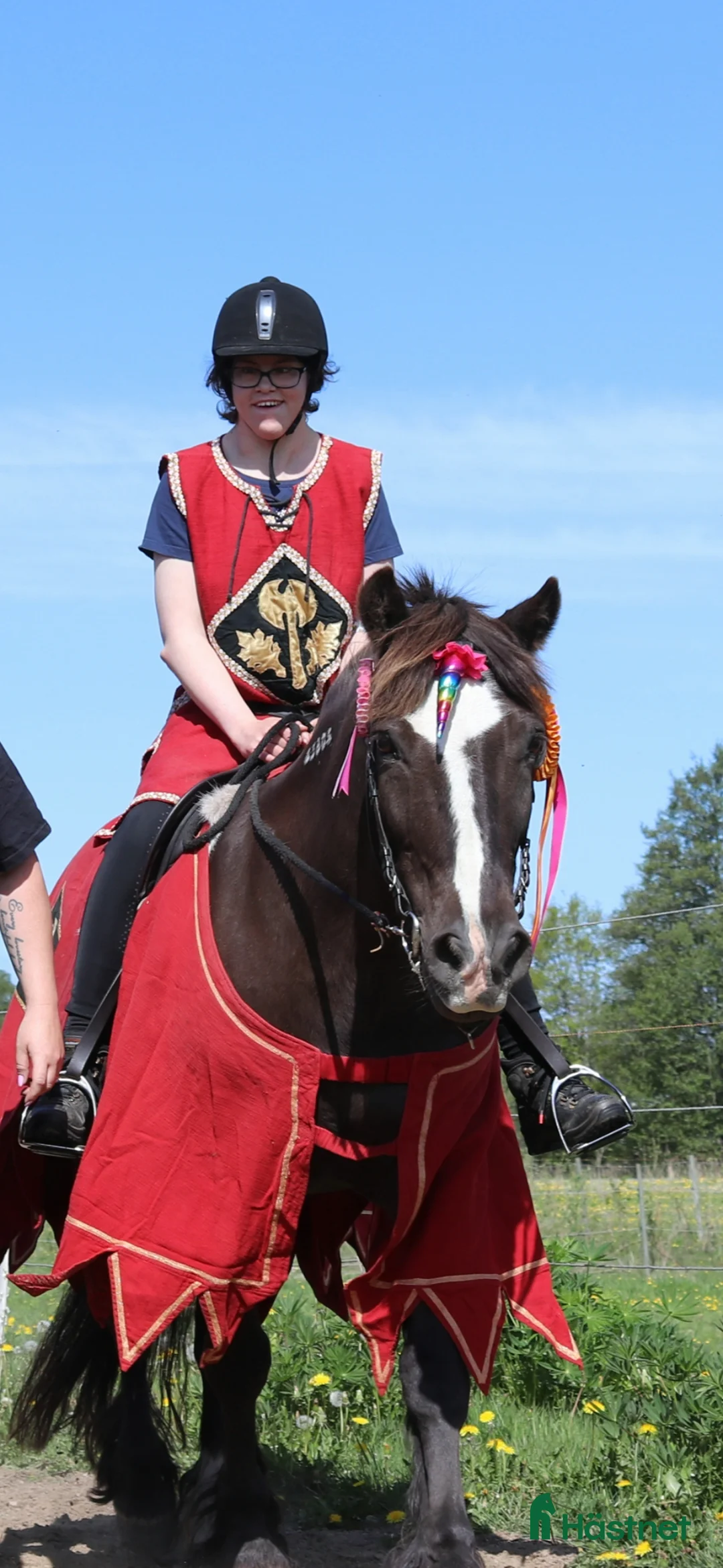 Allround hästar sökes: Söker fortfarande en bästa fyrfoting - Annons 5