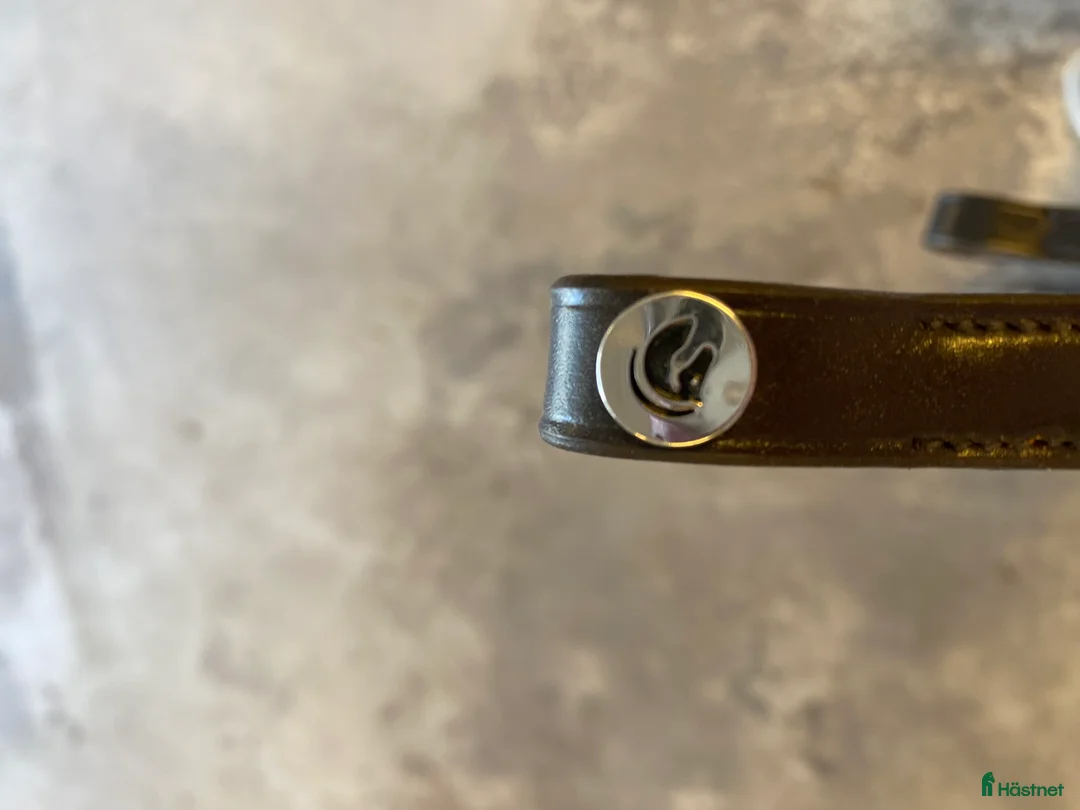 Träns hästutrustning till salu: Brunt Fairfield pannband med gulddetaljer💕 - Annons 3