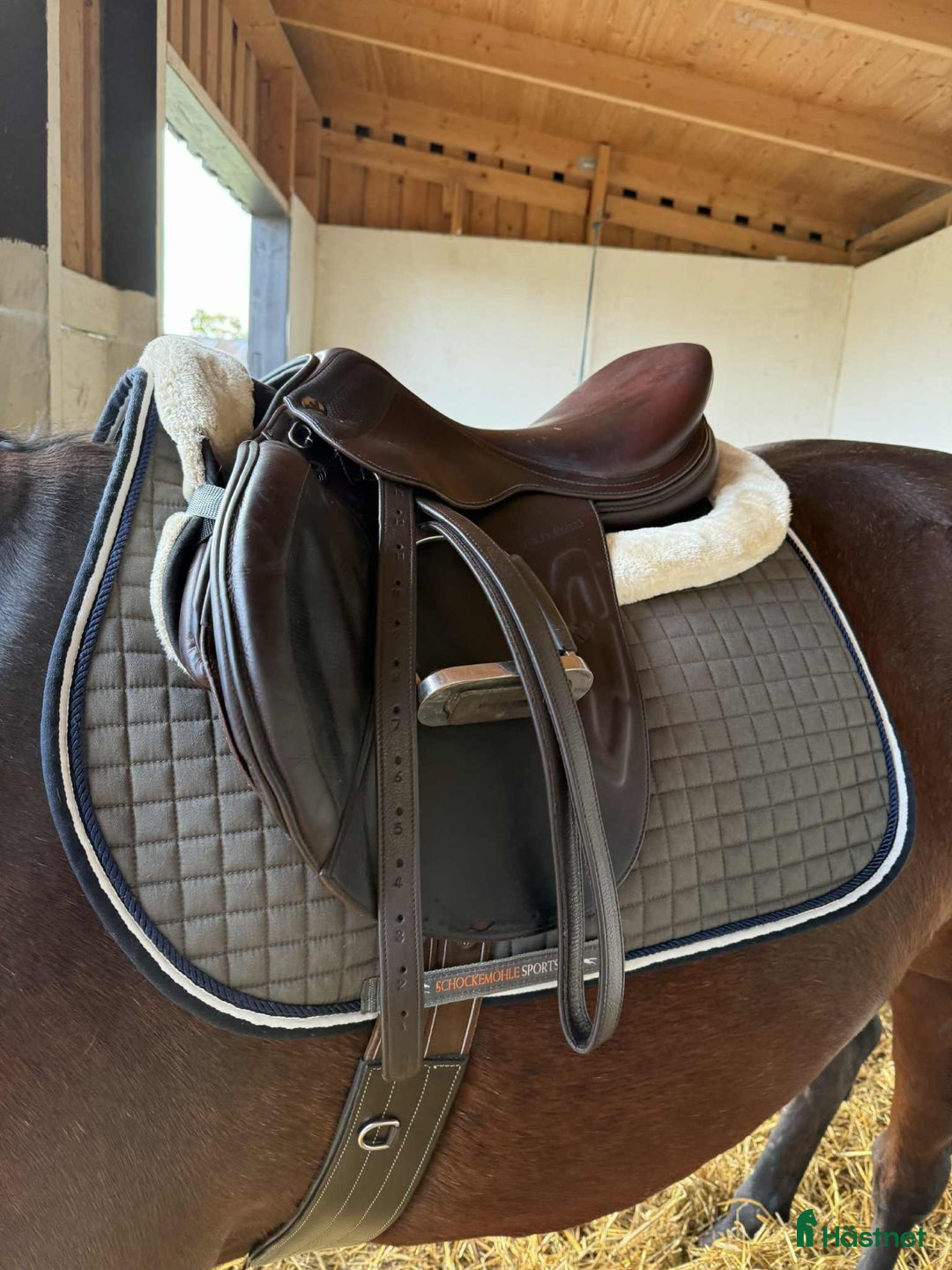 Sadlar hästutrustning till salu: Prestige Michel Robert  i Arvika - Annons 5