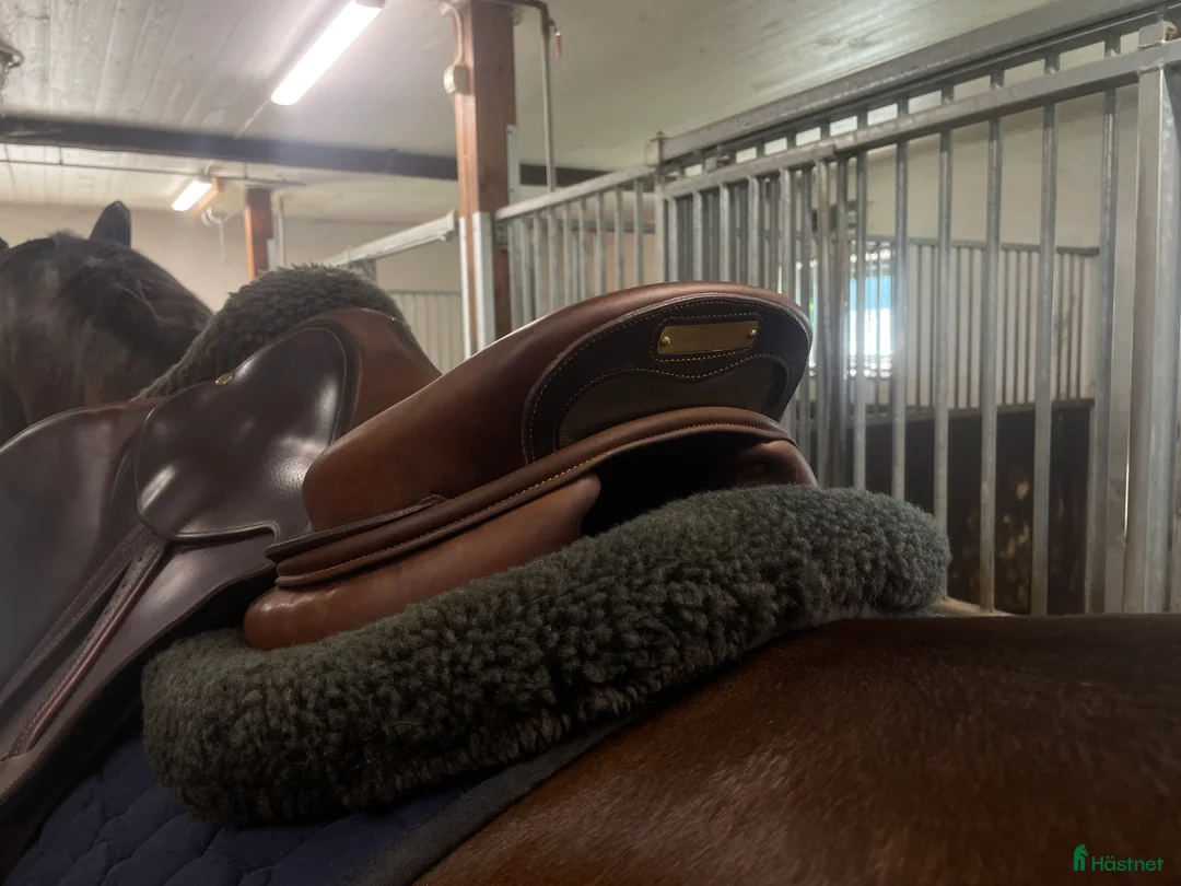 Sadlar hästutrustning till salu: Bruno Delgrange sadel i toppskick i Kumla - Annons 3