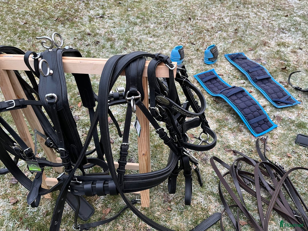 Körselar körning till salu: Parselar ponny Ideal i Västra Ämtervik - Annons 9