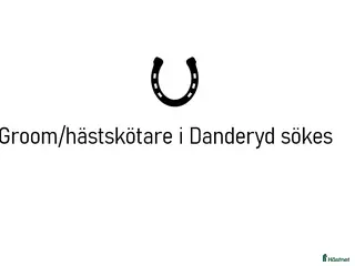 hästjobb Groom/Hästskötare sökes (Tävlingshoppning) - Annons 6