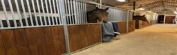  stallplats finnes: Stallplats Lindome ledig  - Annons 1