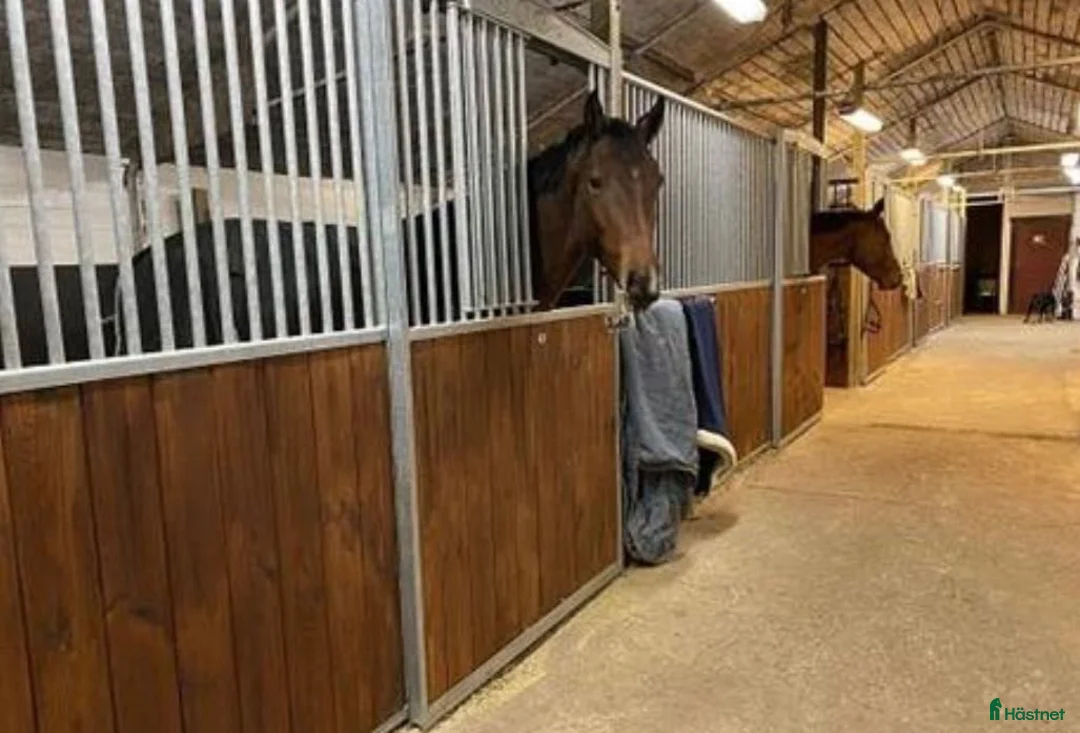  stallplats finnes: Stallplats Lindome ledig  - Annons 1