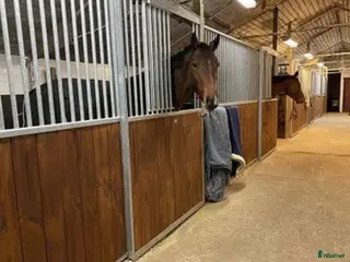 stallplats Stallplats Lindome ledig - Annons 3