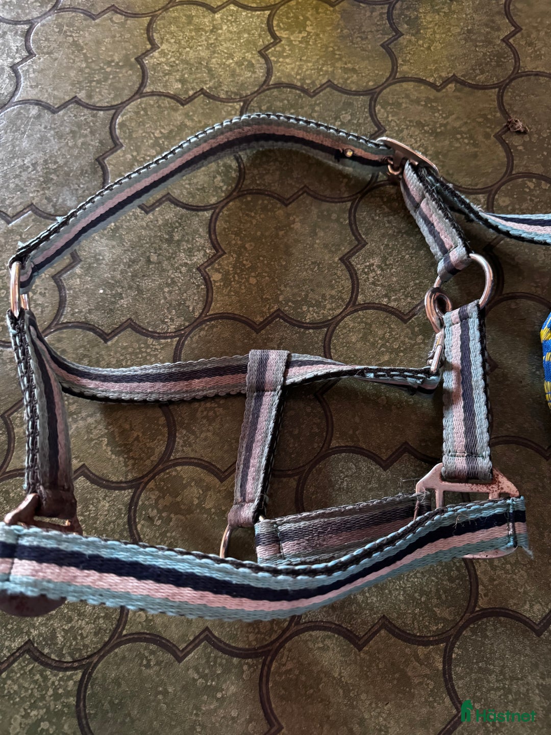 Övrig Hästutrustning hästutrustning till salu: Hästutrustning  i Kalmar - Annons 9