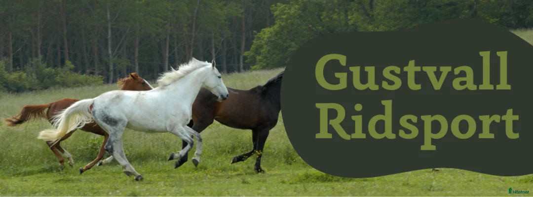 Galleribild {{count}}