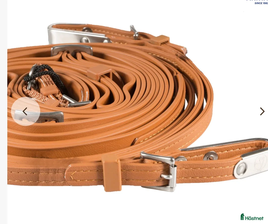 Övrig Travutrustning trav till salu: Finn Tack tömmar i Rättvik - Annons 1