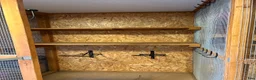 stallplats finnes: Lediga stallplatser  - Annons 6