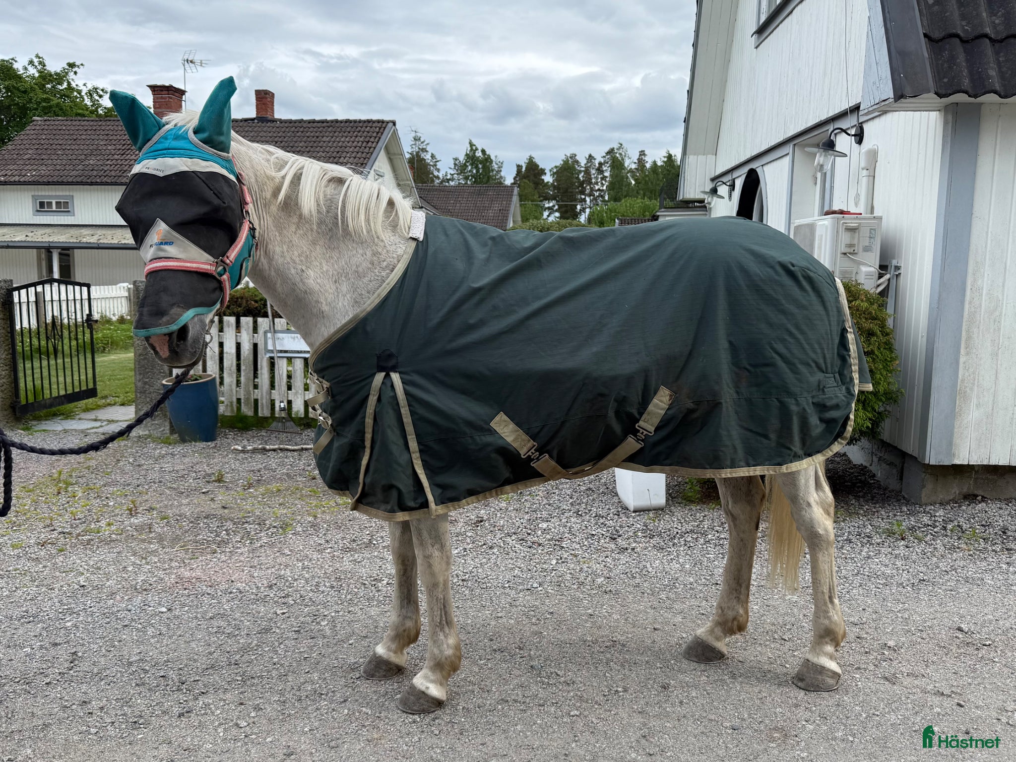 Täcken hästutrustning till salu: Blandade täcken 135 (6st) - Annons 1