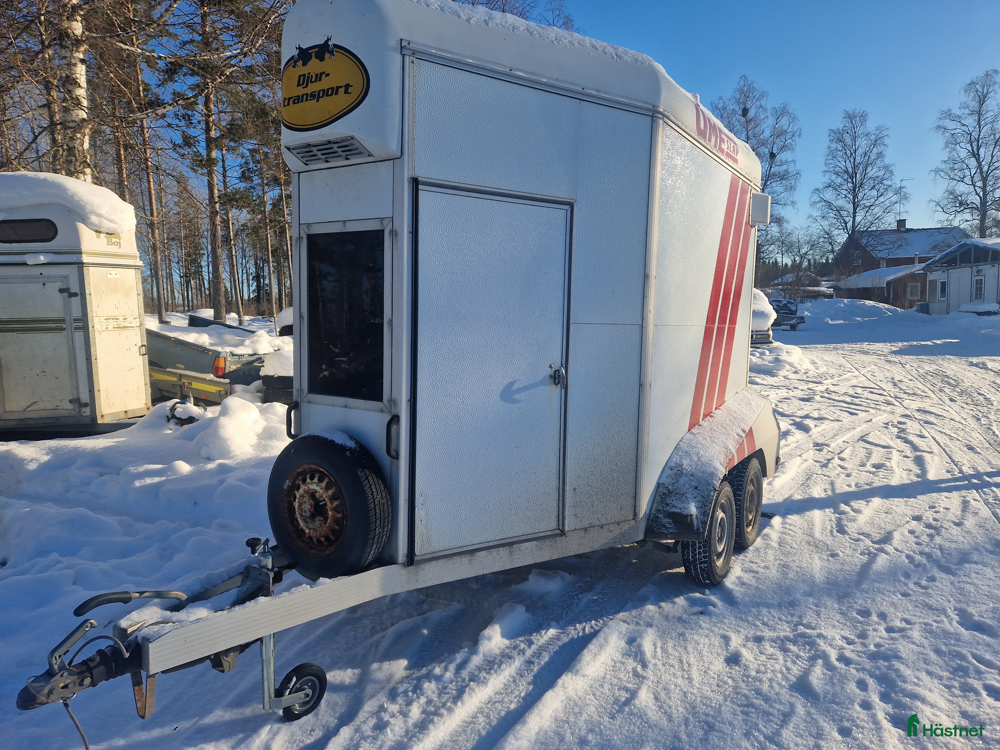 Hästtransporter  fordon & transport till salu: Umesläp A30 - Annons 9