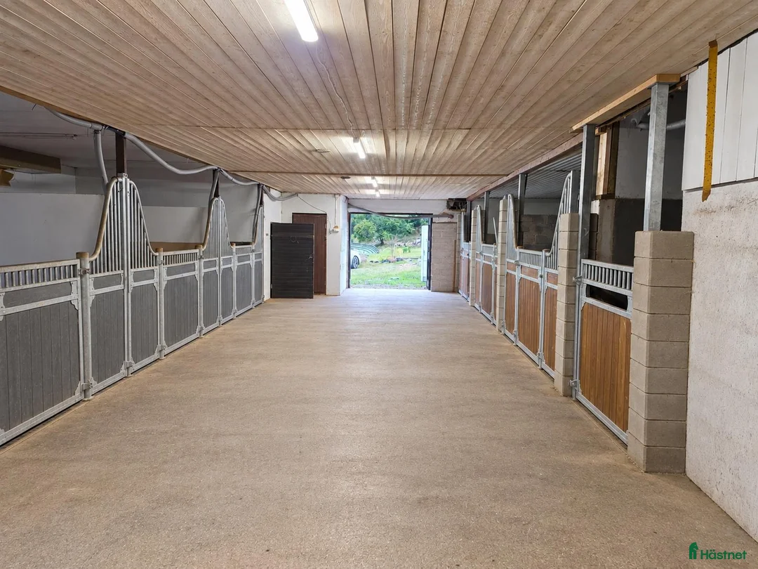  stallplats finnes: Boxplats på Långdals ridcenter - Annons 1