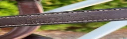 Övrig Hästutrustning hästutrustning till salu: DYON Lädergrimma - Annons 3