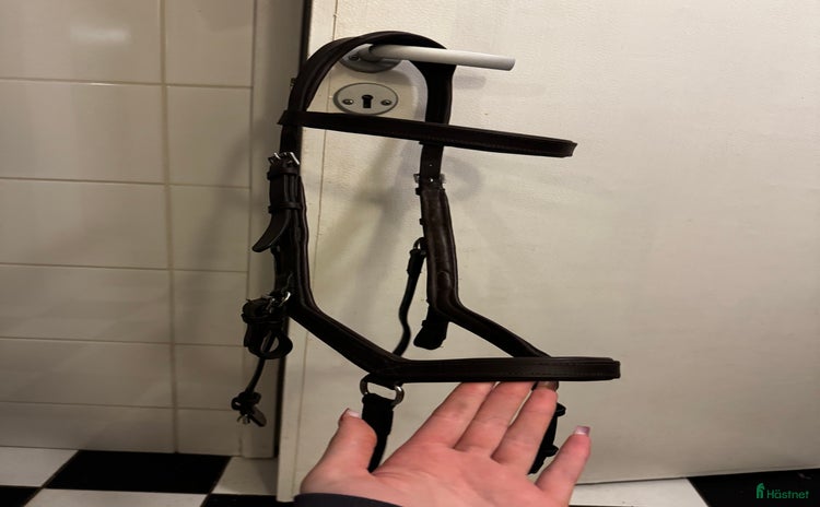 Träns hästutrustning till salu i Kimstad - Annons 15