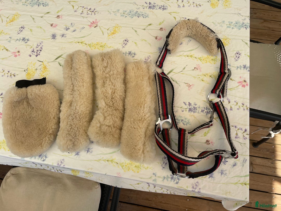 Övrig Hästutrustning hästutrustning till salu: Nosludd i Tygelsjö - Annons 2