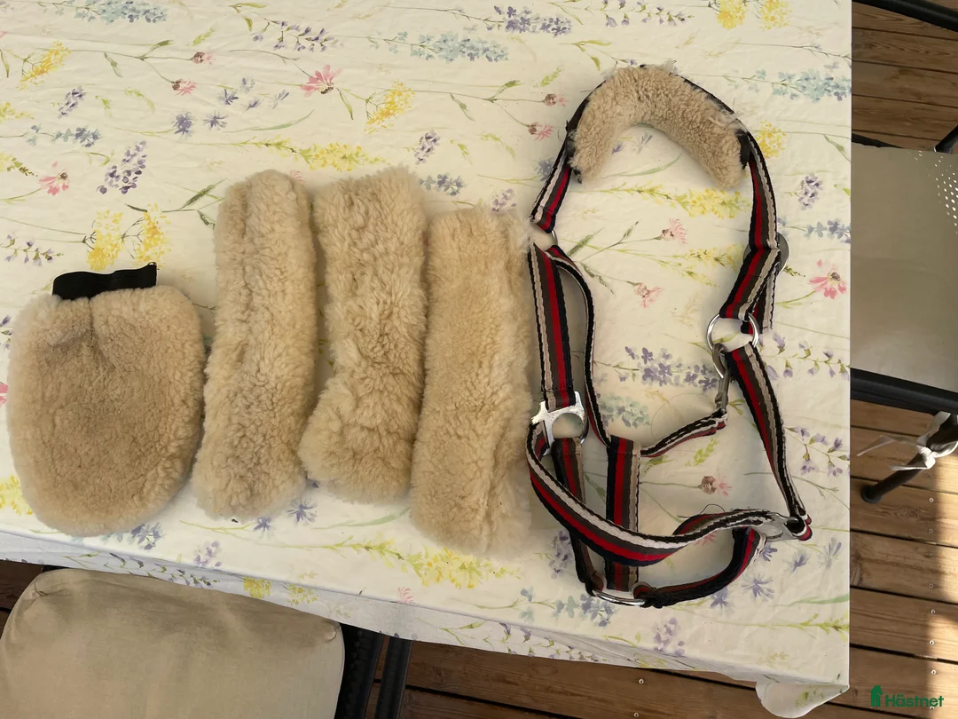 Övrig Hästutrustning hästutrustning till salu: Nosludd i Tygelsjö - Annons 2