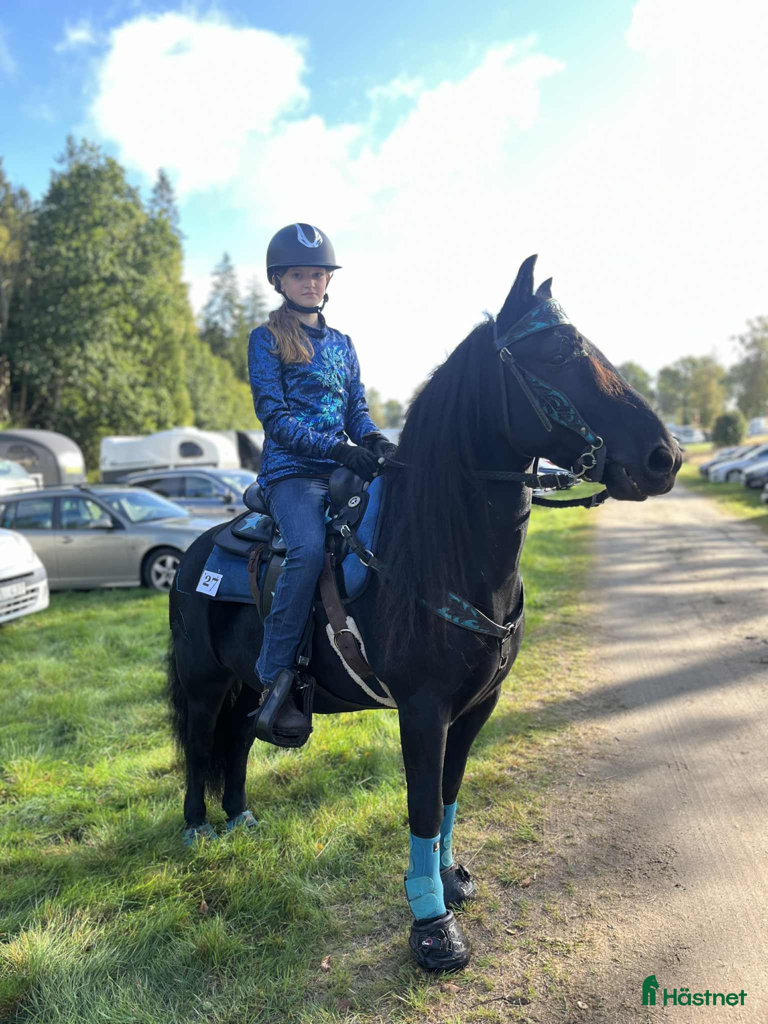  hästar Världens finaste wonderful magic fellponny  i Ljung - Annons 9