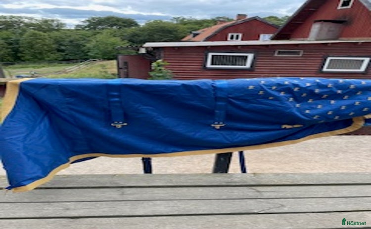 Täcken hästutrustning till salu i Södertälje - Annons 6