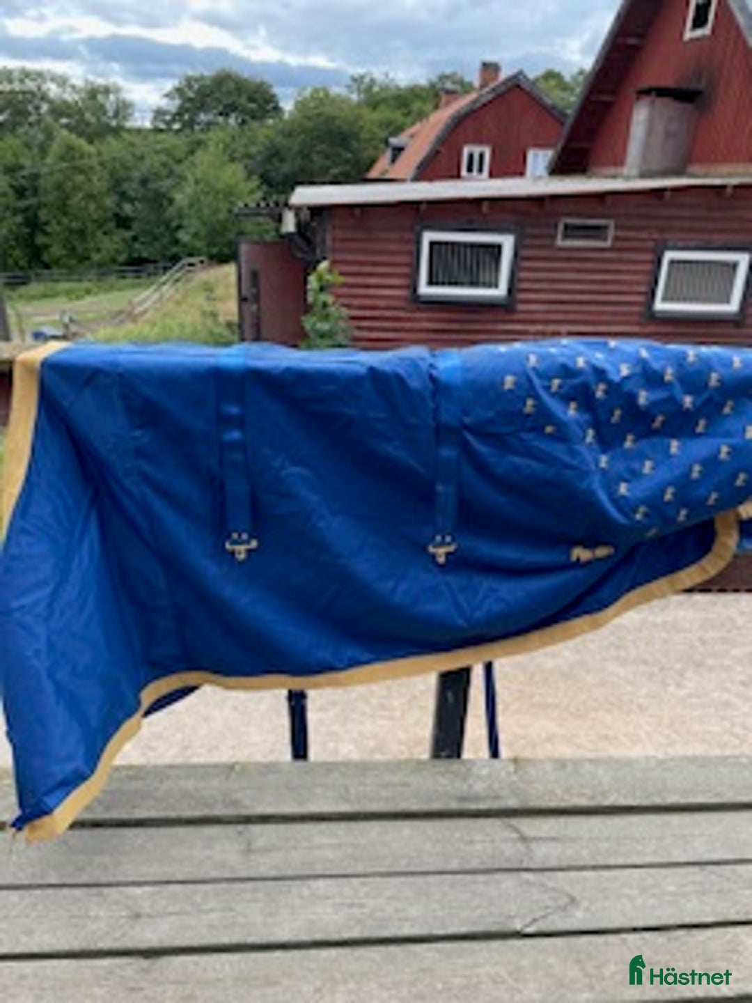 Täcken hästutrustning till salu: Accuhorsemat akupressurtäcke i Södertälje - Annons 1