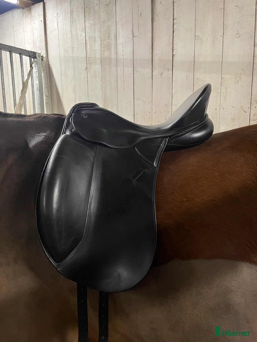 Sadlar hästutrustning till salu: Svart Kieffer Lusitano  i Öregrund - Annons 1