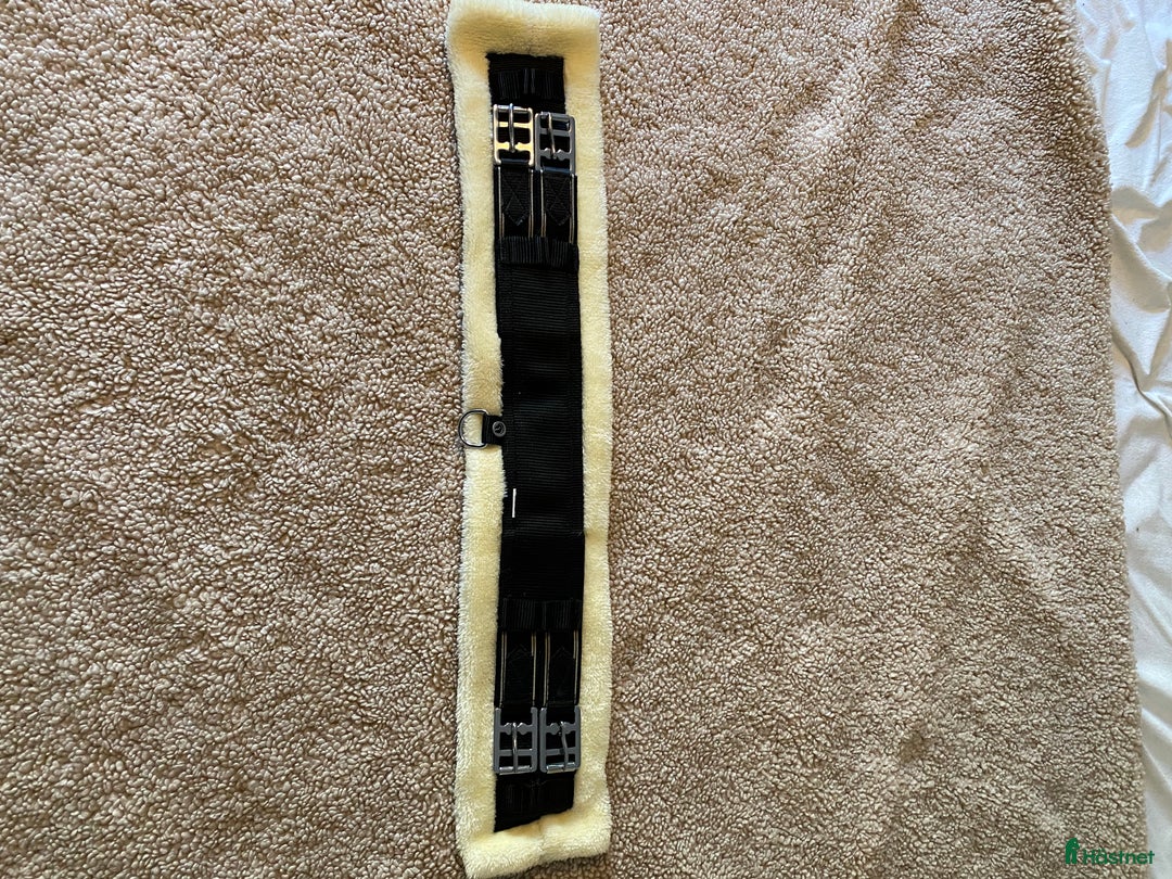 Sadeltillbehör hästutrustning till salu: Oanvänd sadelgjord teddy från Hööks i Gävle - Annons 2