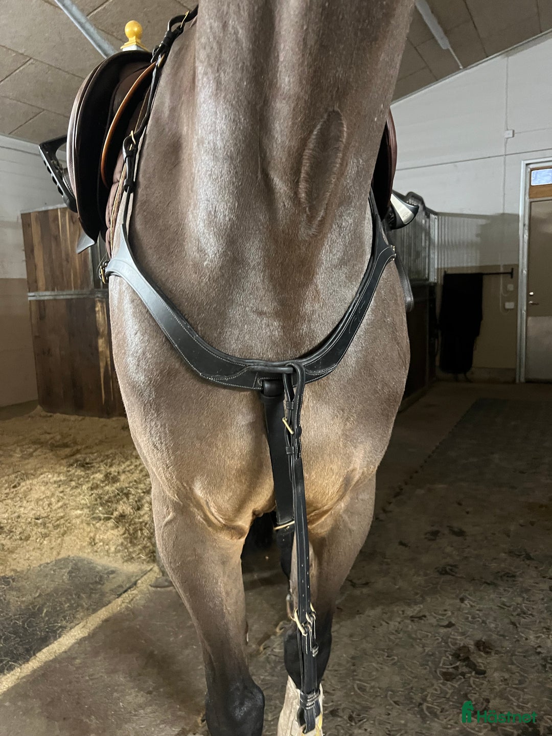 Övrig Hästutrustning hästutrustning till salu: Dyon 5-punkt förbygel i Uppsala - Annons 3