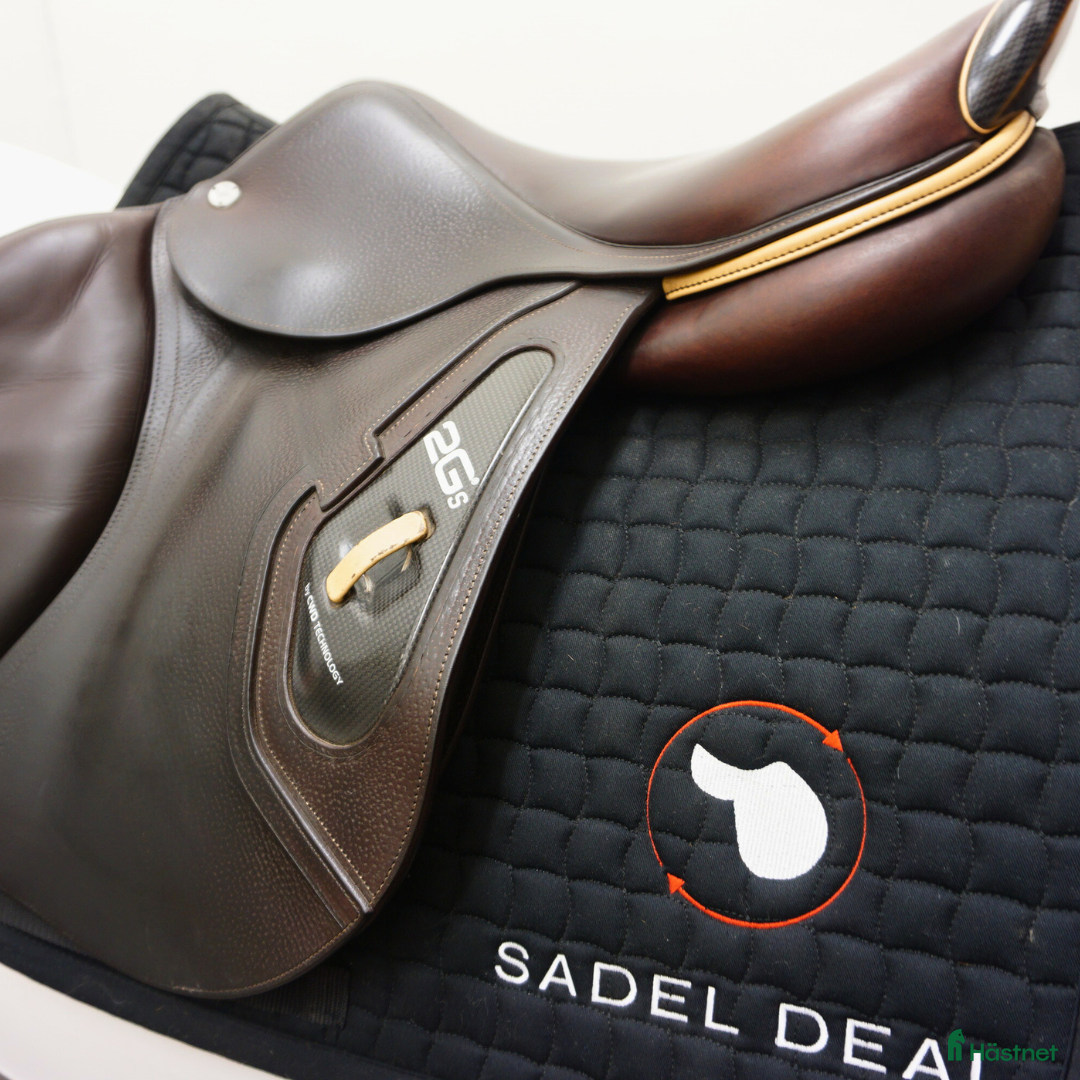 Sadlar hästutrustning till salu: CWD 2Gs 17,5" från 2020 i Upplands Väsby - Annons 3