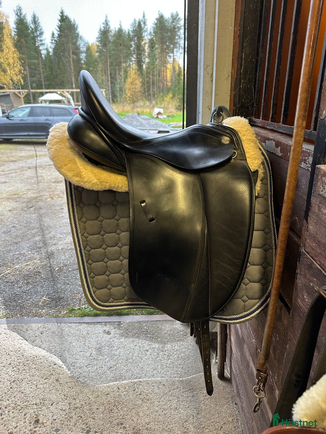 Sadlar hästutrustning till salu: Pfiff Amaretto i Bureå - Annons 1