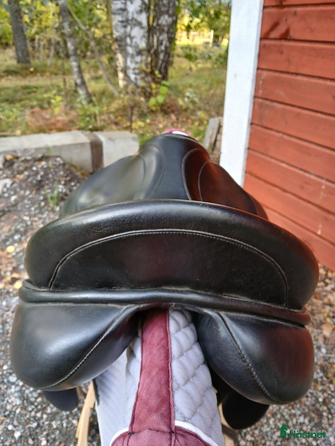 Sadlar hästutrustning till salu: Dressyrsadlar säljes i Enköping - Annons 8