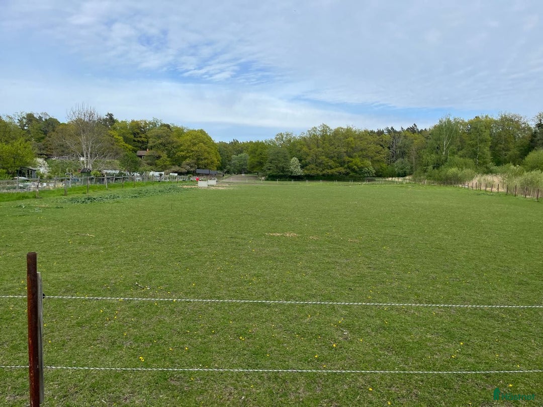  stallplats finnes: Privatstall i Nacka i Saltsjöbaden - Annons 6
