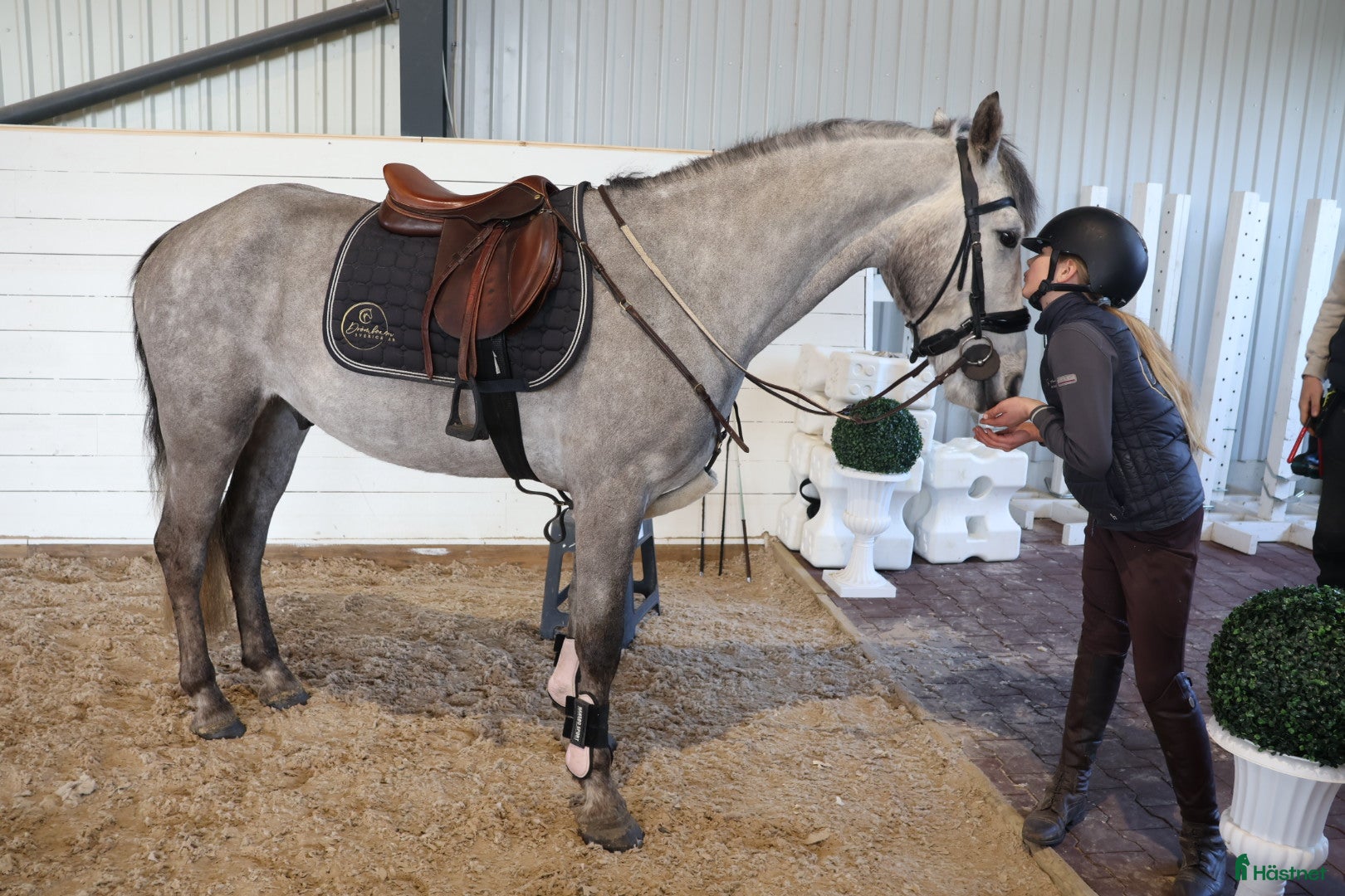  hästar RIDSKOLA / VERKSAMHET 🌟/ NYBESIKTAD! - Annons 2