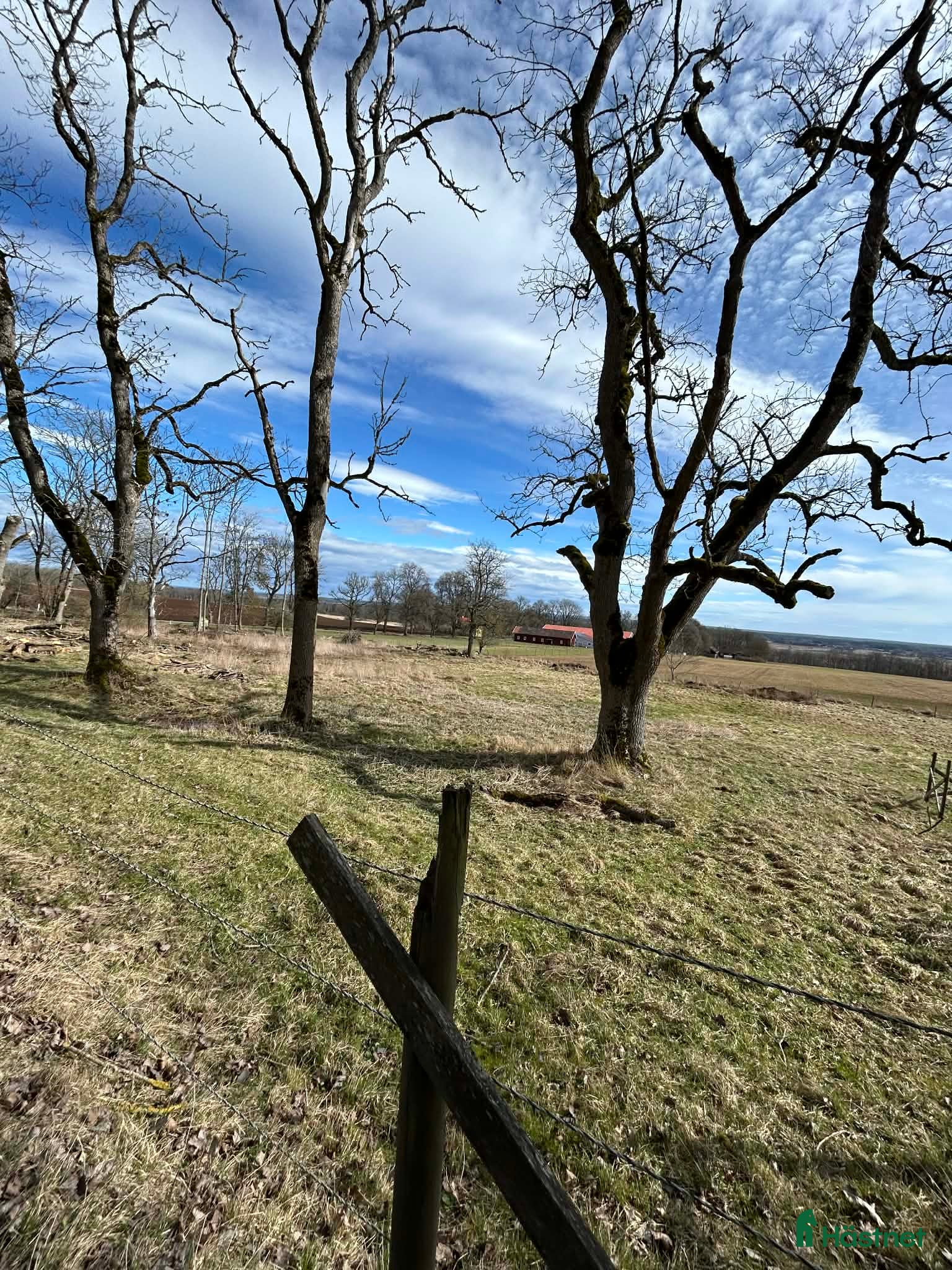  stallplats Stall plats på kinnekulle uthyres - Annons 2