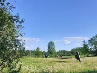 stallplats finnes: Lösdrift där hästar får vara hästar. i Tjällmo - Annons 1