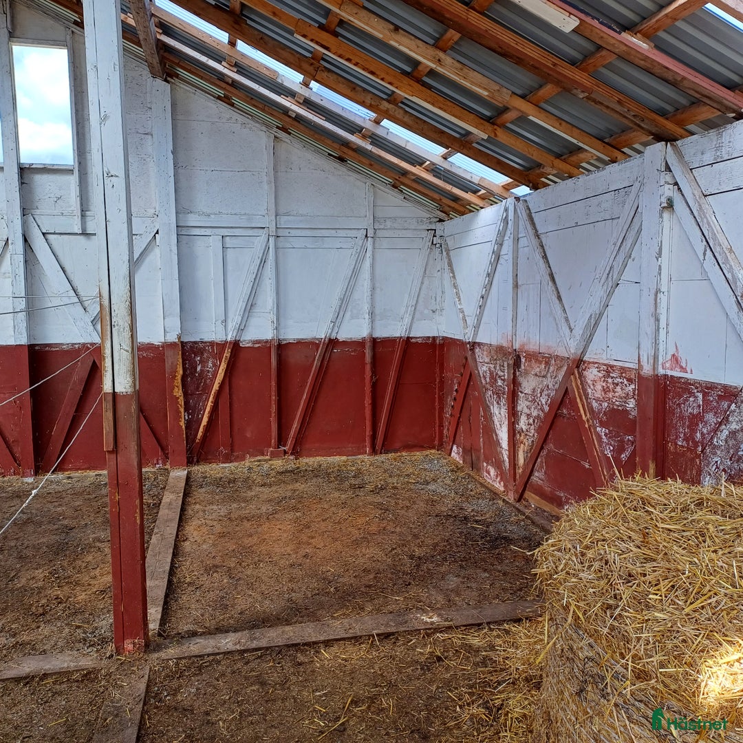  stallplats finnes: Lösdrift i Torslanda - Annons 3