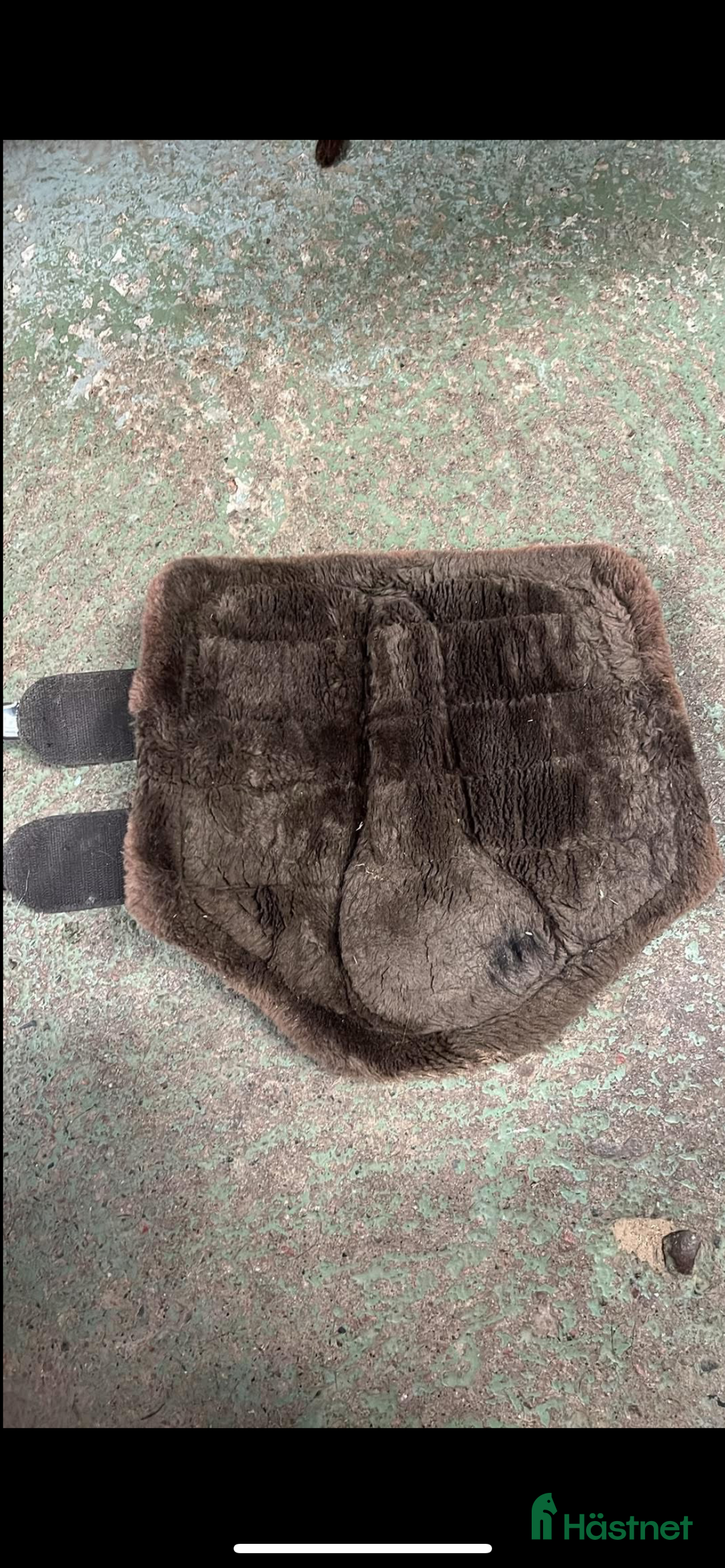 Benskydd hästutrustning till salu: Eskadron skydd i Karlstad - Annons 3