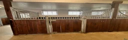  stallplats finnes: Stallplatser med naturskönt läge!  - Annons 1