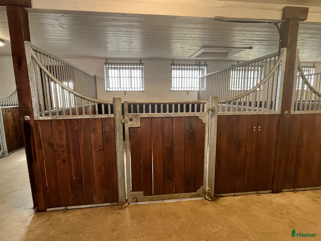  stallplats finnes: Stallplatser med naturskönt läge!  - Annons 1
