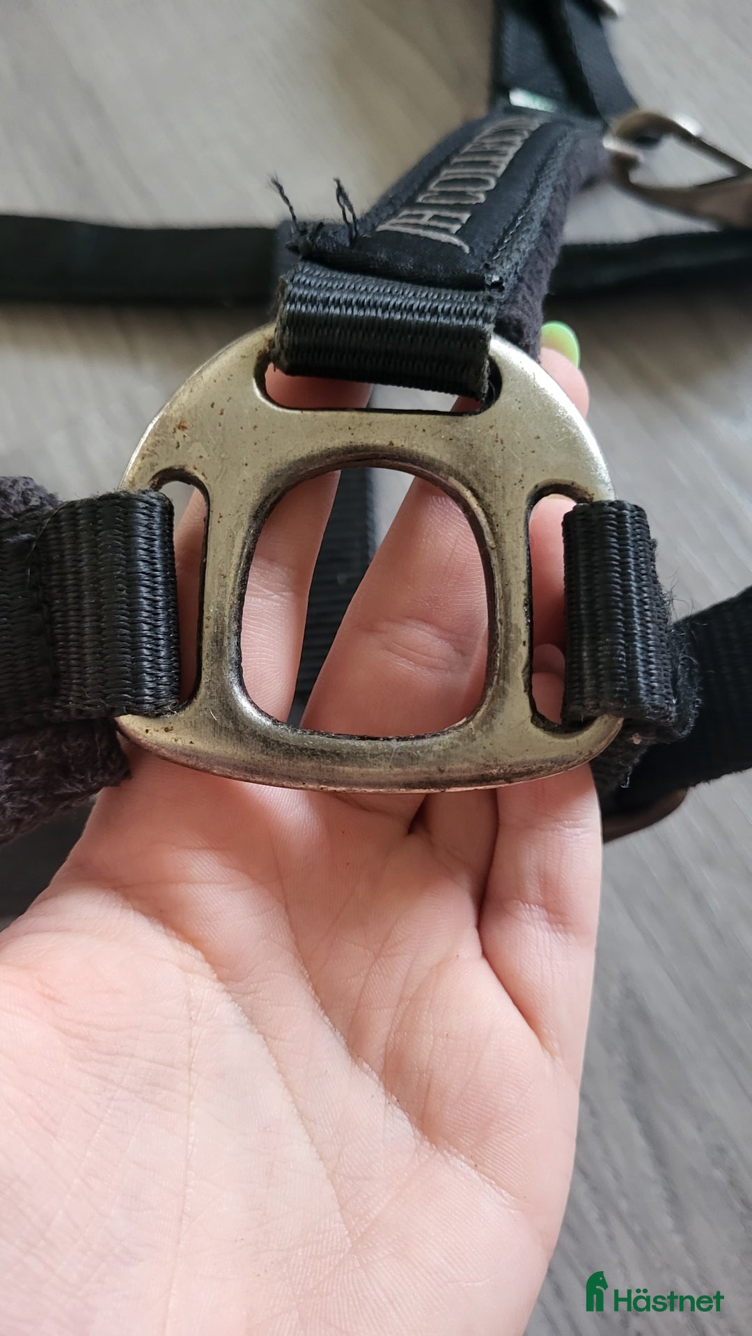 Övrig Hästutrustning hästutrustning till salu: JH Collection Grimma i Åhus - Annons 4