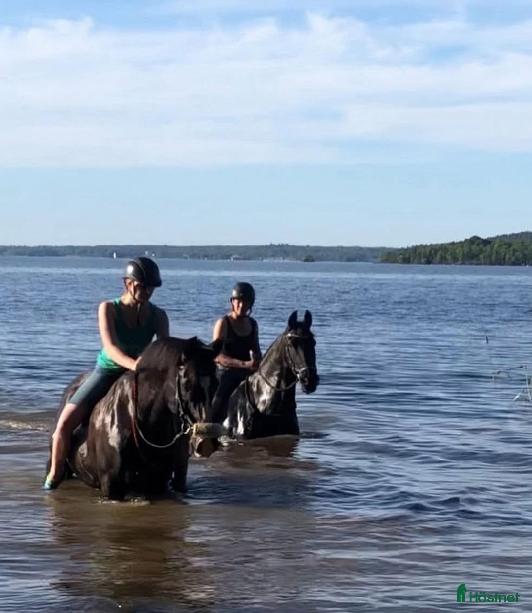  stallplats finnes: Stallplatser lediga i Skokloster – Stall Frista - Annons 6