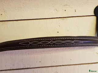 Träns hästutrustning Pannband med detaljer i Nora - Annons 15