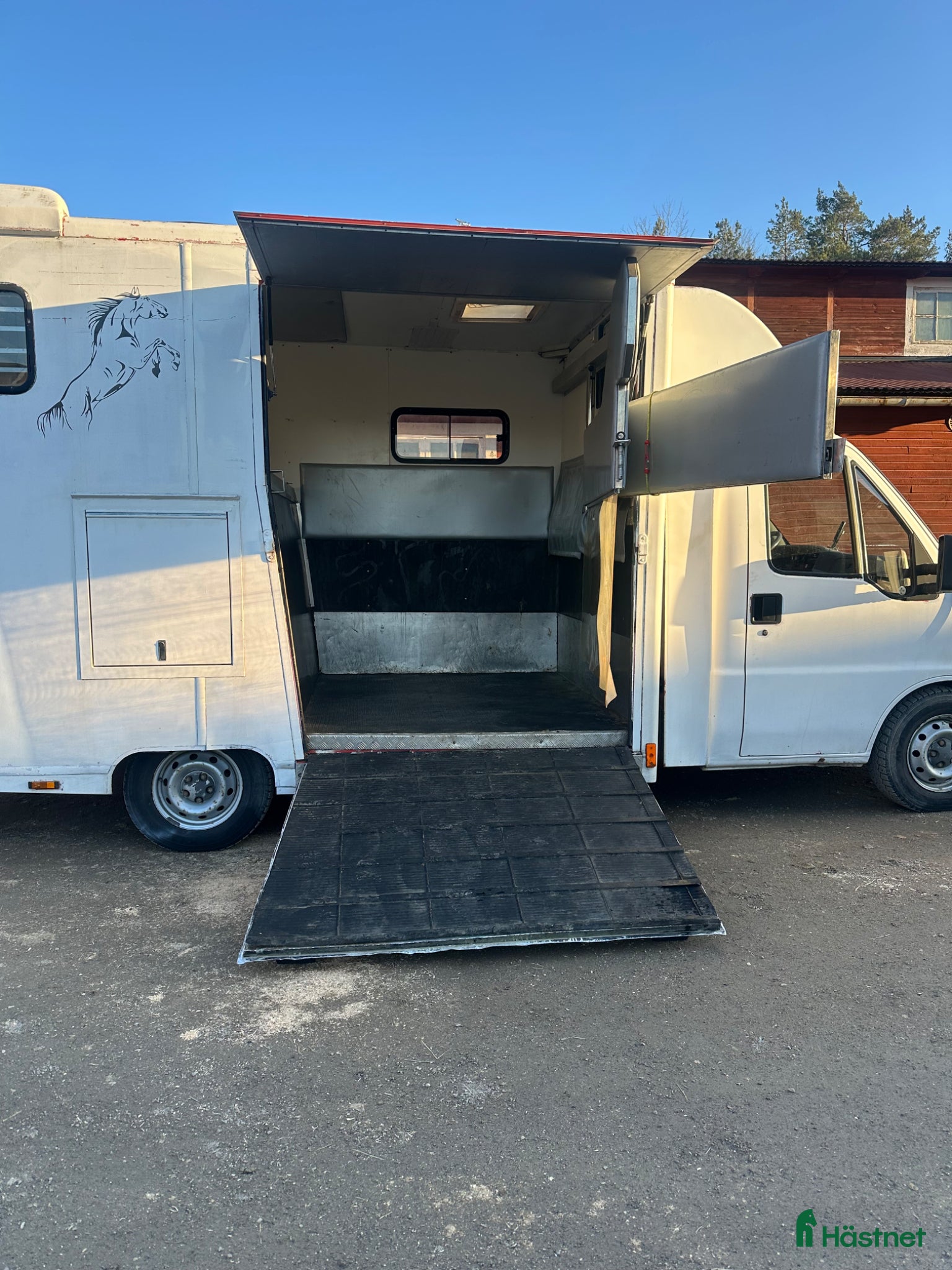 Hästlastbilar  fordon & transport till salu: Fiat ducato med underbar häst del - Annons 1